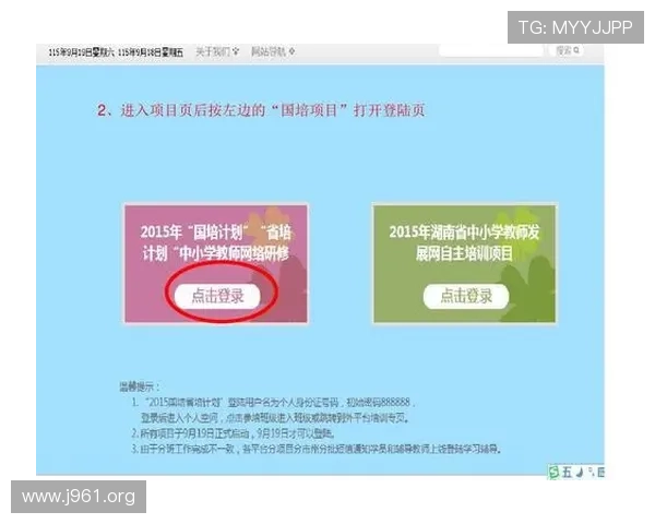 全面介绍大发体育下载平台的最新安全指南与使用技巧